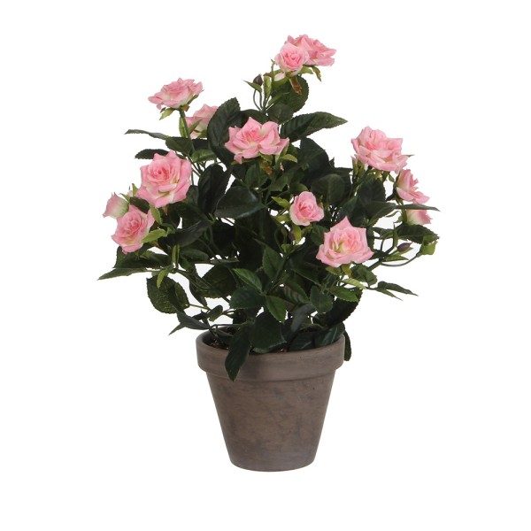 Maceta de rosal rosa, ø11,5 x 33 x 25 cm
